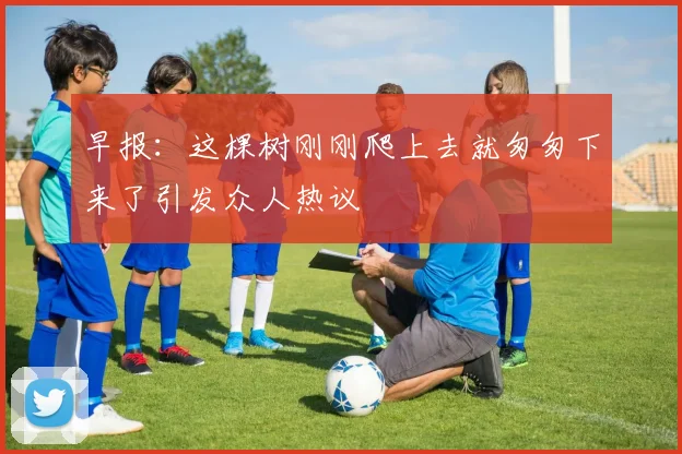 早报：这棵树刚刚爬上去就匆匆下来了引发众人热议